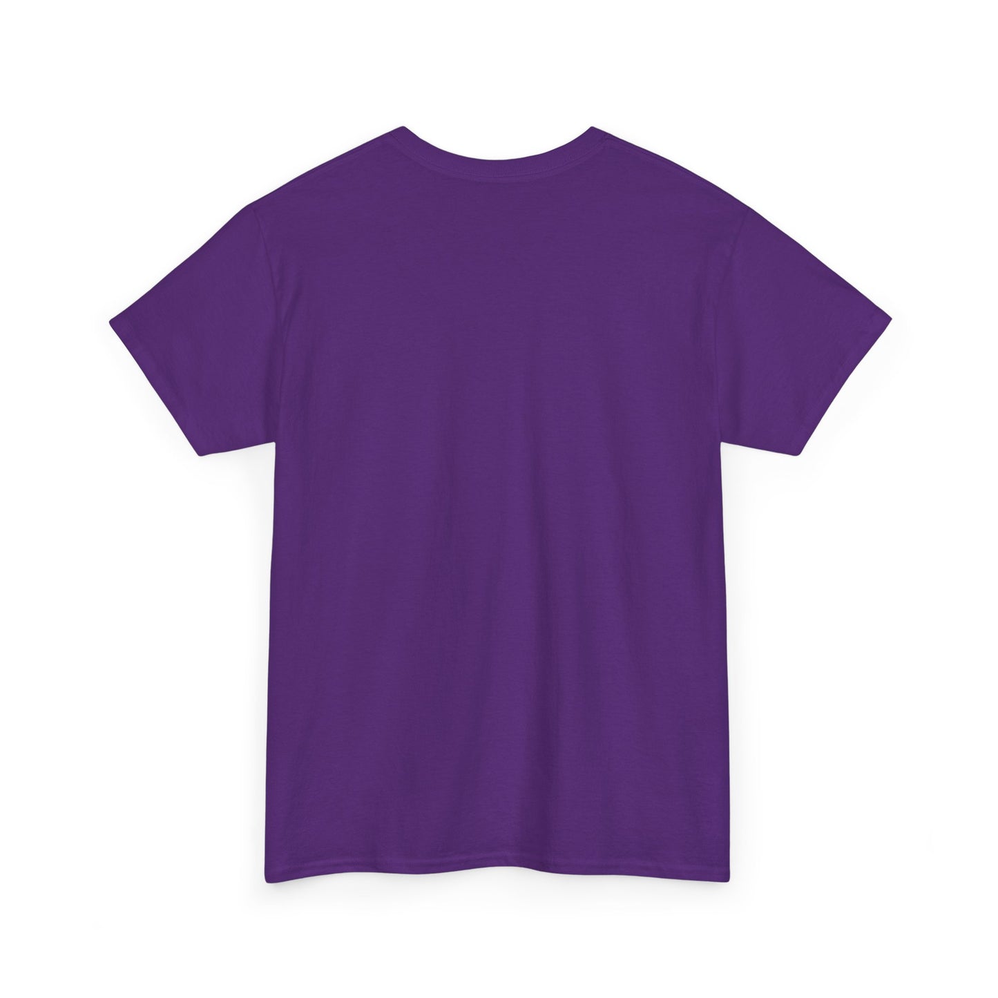 "Karma the Armadillo | Tribute | at sunset Tee Shirt | Her Edition | Western Style | with background"